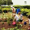 Junge Gärtner pflegen unseren Lehrgarten