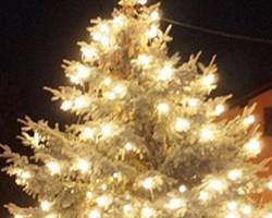 https://www.stadt-hohenmoelsen.de/var/cache/thumb_82727_1013_1_250_200_r4_jpeg_weihnachtsmarkt_kopie.jpeg