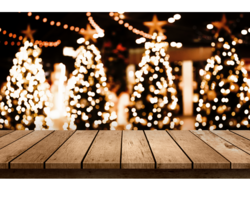 https://www.stadt-hohenmoelsen.de/var/cache/thumb_96449_1013_1_250_200_r4_png_weihnachtsbaum.png