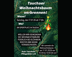 https://www.stadt-hohenmoelsen.de/var/cache/thumb_98217_1013_1_250_200_r4_png_weihnachtsbaumverbrennen.png
